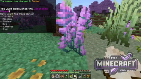 Seasonala Addon 4.0.0