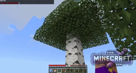 SkyBlock Biomes Map v5.1 for Minecraft Bedrock