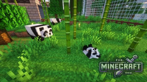 Zoo Search Map for MCPE