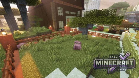 Zoo Search Map for MCPE