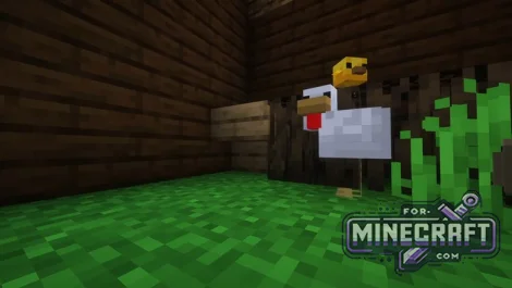 Zoo Search Map for MCPE