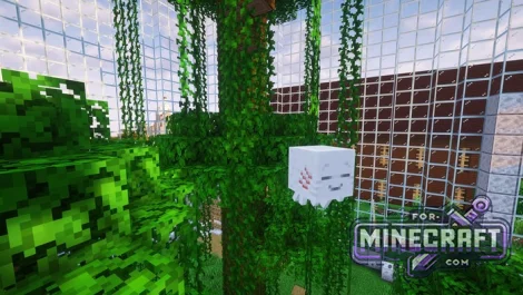 Zoo Search Map for MCPE