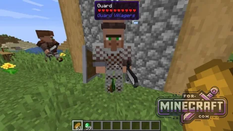 Dan's Guard Villagers Addon for Minecraft Bedrock