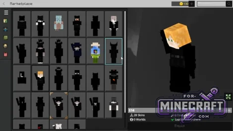 28 4D Skins & Zombie Arms for Minecraft BE