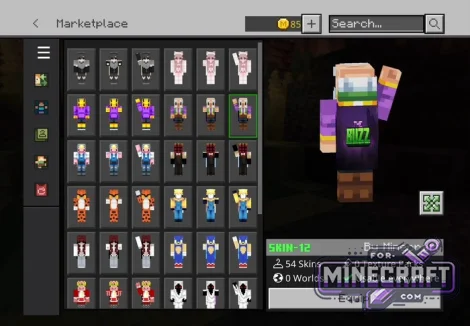 54 HD Capes Skin Pack for Minecraft Bedrock