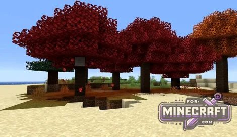 Autumn Island Seed for Minecraft Bedrock 26.30+