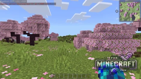 Bedrock MiniMap Addon v2.0.5 for Minecraft 1.21/26.50+