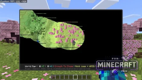 Bedrock MiniMap Addon