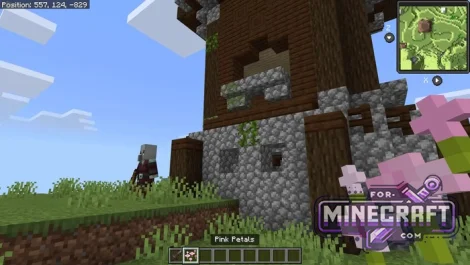 Bedrock MiniMap Addon v2.0.5