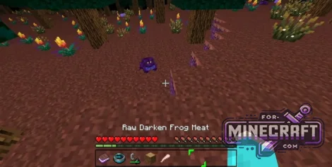 Dark Dimension Addon v1.1 for Minecraft Bedrock