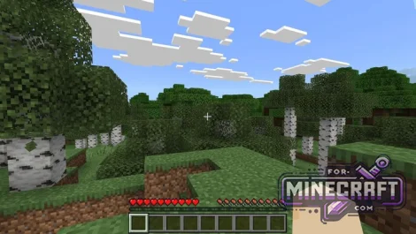 How to Make a Minecraft Bedrock Dedicated Server