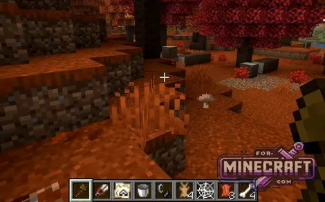 Dappled Forest Seed (Wilderness Bound) for Minecraft Bedrock
