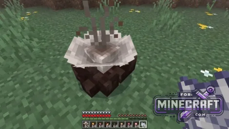 Fungus Hazard Addon v1.0.15 (Parasite Mods)