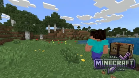 GoPro Addon for Minecraft Bedrock