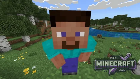 GoPro Addon for Minecraft Bedrock