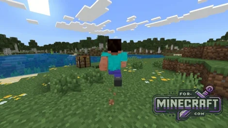 GoPro Addon for Minecraft Bedrock