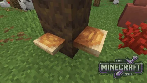 Minecraft Bedrock 26.50 Springy Shelf Mushroom