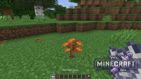 Minecraft Bedrock 26.50 - Dappled Forest