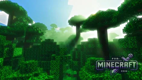 Naturalism VV Shader
