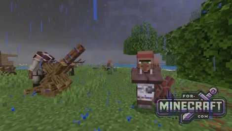 The Battle of Pillager Addon