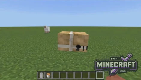 Verity Addon (Ported) for Minecraft Bedrock 1.21/26.52+
