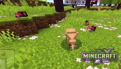 Wildlife Sanctuary Addon for Minecraft Bedrock