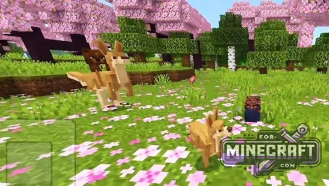 Wildlife Sanctuary Addon