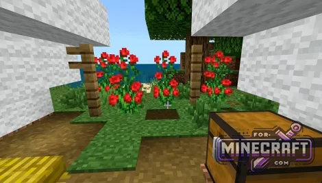 bandoned Camp Island Seed for Minecraft Bedrock 26.70.21