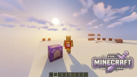 Invisibility Cape Addon for Minecraft Bedrock 1.21/26